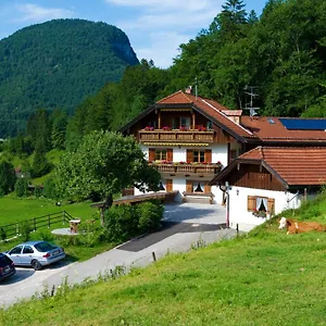 Vogelrast Apartment